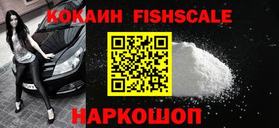 крисы Моздок