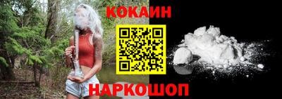 крисы Моздок