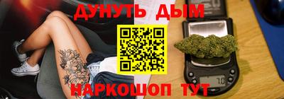 крисы Моздок