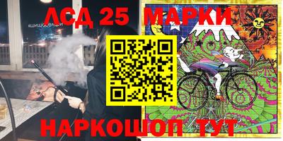 крисы Моздок