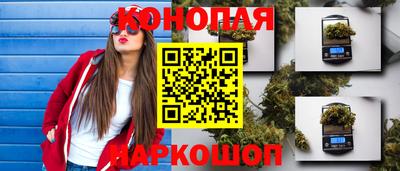 крисы Моздок