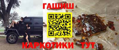 крисы Моздок