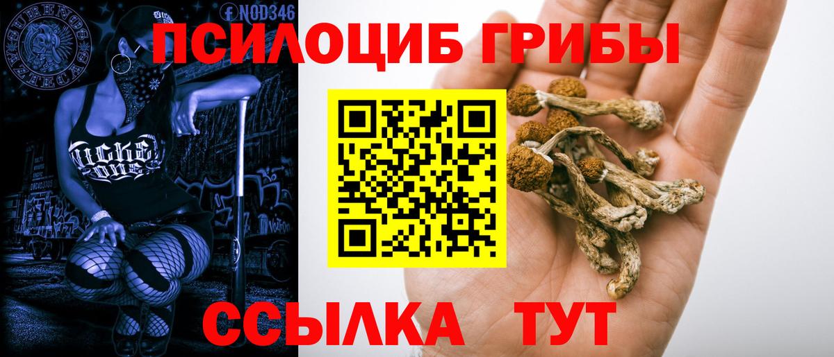 Тулун  Псилоцибиновые грибы мицелий  Вход с VPN  Псилоцибиновые грибы MAGIC MUSHROOMS 